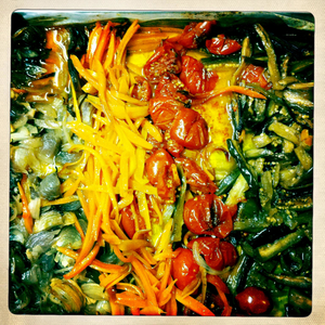 Hip 335114117.683502