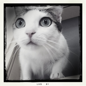 Hip 333465373.759412