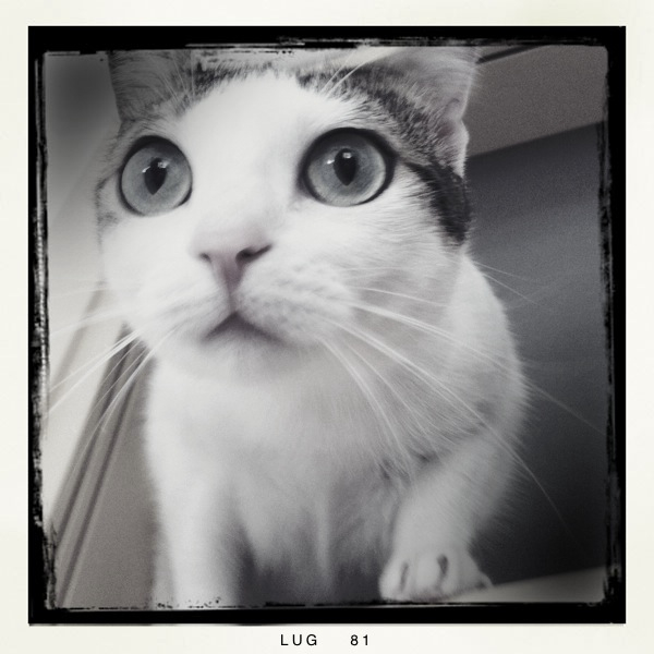 Hip 333465373.759412