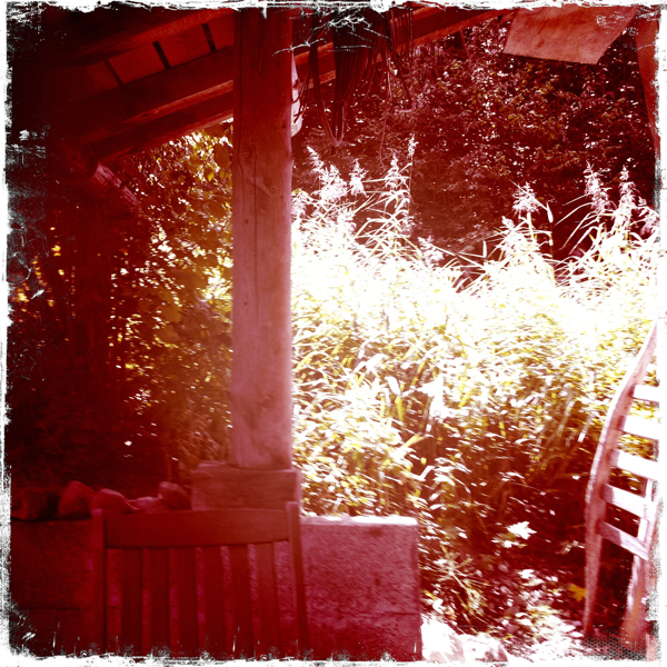 Hip 335621057.366338