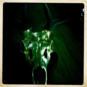 Hip 335621371.897726