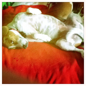 Hip 334353477.365725