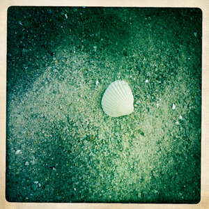 Hip 334168036.279203