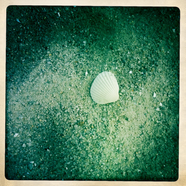 Hip 334168036.279203