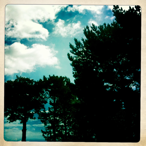 Hip 334059867.382840