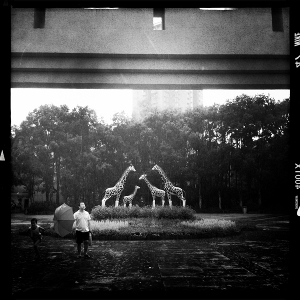 Hip 333010377.015294