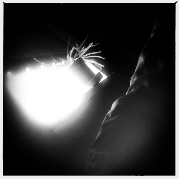 Hip 335626636.873219