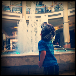 Hip 335542565.496582