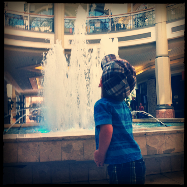 Hip 335542565.496582