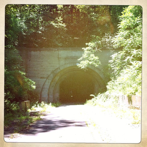 Hip 331147241.996067