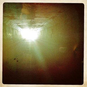 Hip 331156082.349095