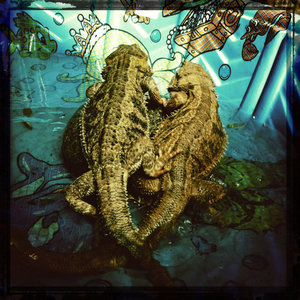 Hip 334956582.733298