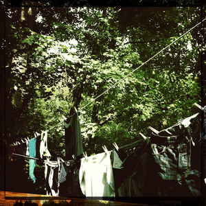 Hip 334955734.978075