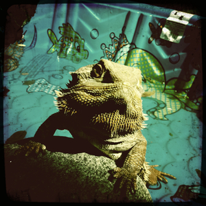 Hip 334955292.920050