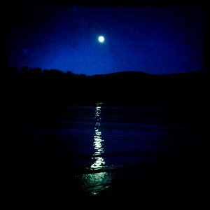 Hip 334888047.056417