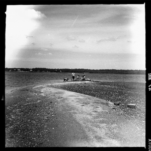 Hip 331493637.998314