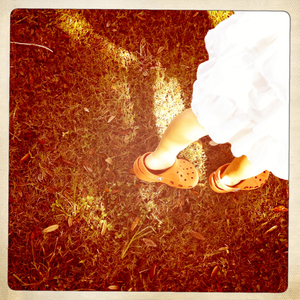 Hip 334331543.892676