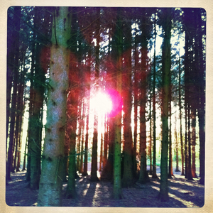 Hip 334522598.218888