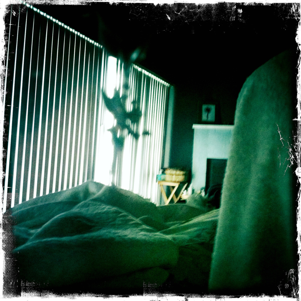 Hip 335630662.542639