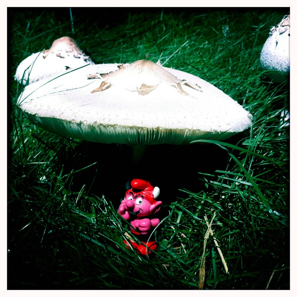 Hip 331313641.835999