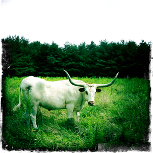 Hip 335032426.766773