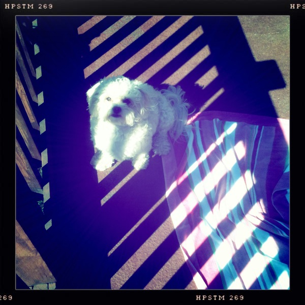 Hip 335313697.544681