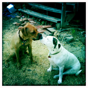 Hip 333939397.485188