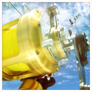 Hip 334943198.735120