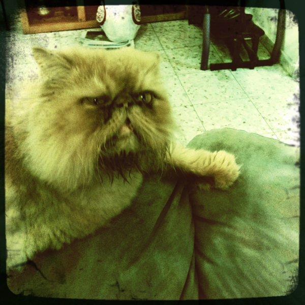 Hip 335634638.131487