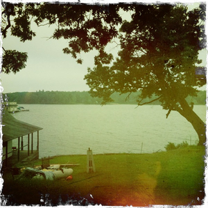 Hip 334154898.108764