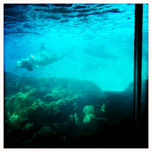 Hip 332430668.901580