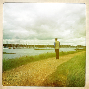 Hip 334937329.809747