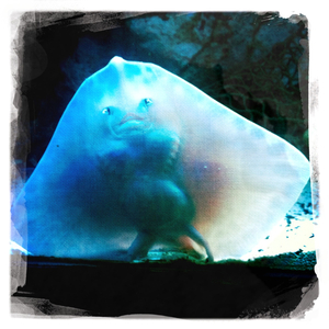 Hip 335549103.153325