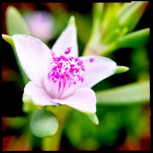 Hip 335282175.715783