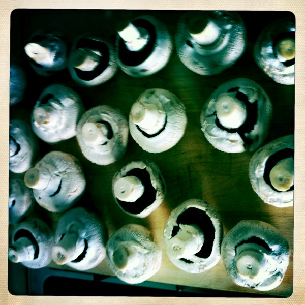 Hip 333616331.441986