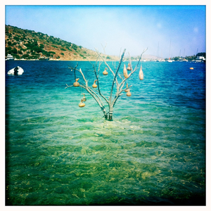 Hip 334485413.664101