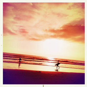 Hip 335497697.203102