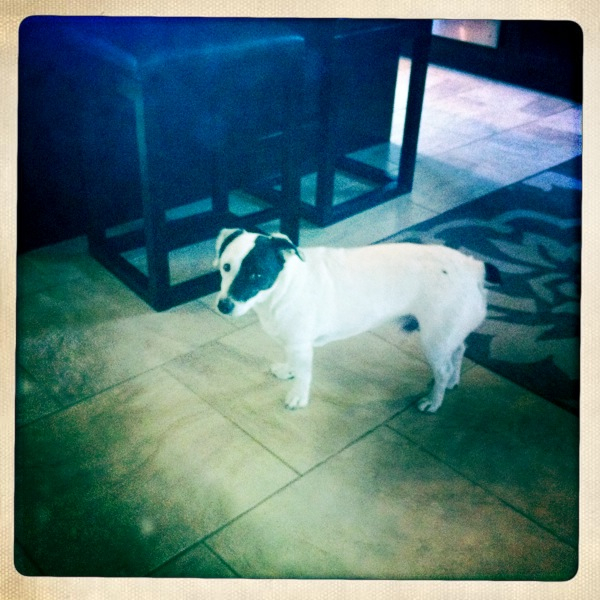 Hip 335638024.493630