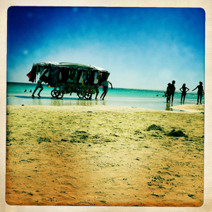 Hip 334760799.132903