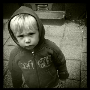 Hip 333723570.602719