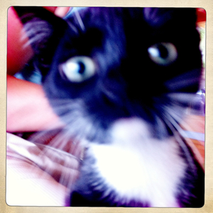 Hip 335638362.963416