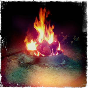 Hip 335584404.952419