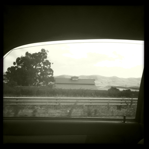 Hip 335639445.724349