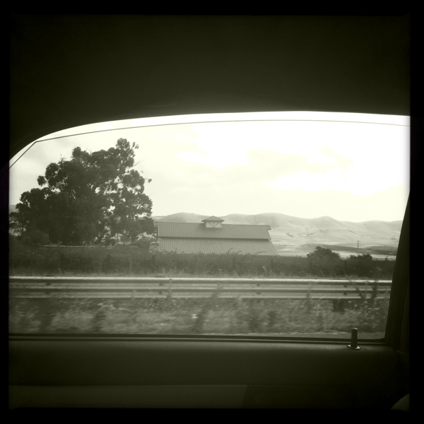 Hip 335639445.724349