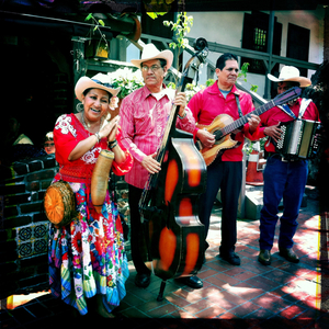 Hip 335567459.944667