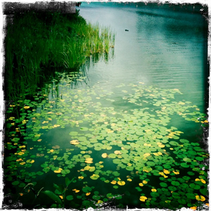 Hip 335379907.048979