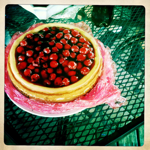 Hip 331508661.125075