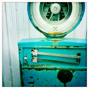 Hip 335559741.374943