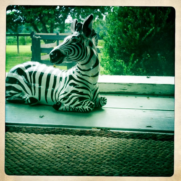 Hip 335654215.292768