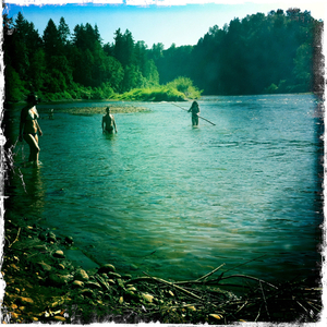 Hip 331604703.277596